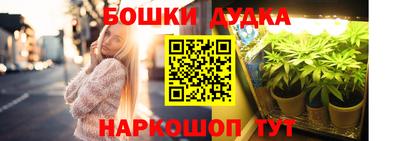 крисы Краснознаменск