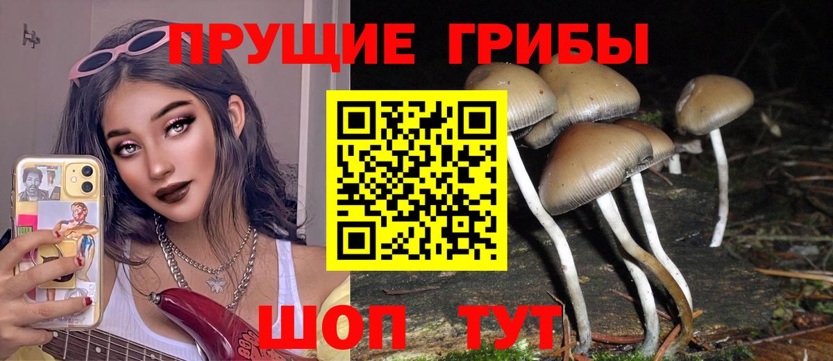 наркота  Псилоцибиновые грибы Psilocybine cubensis  Вход с VPN  Коломна 