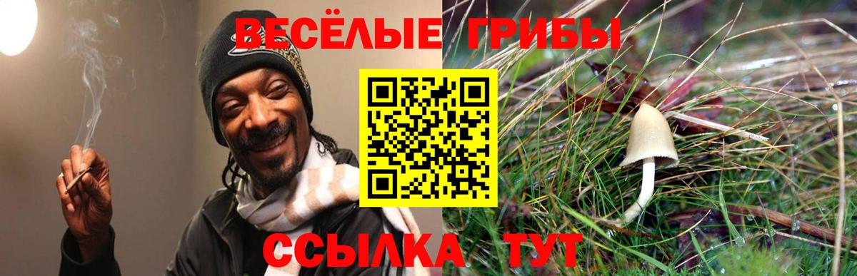 Галлюциногенные грибы мицелий Коломна